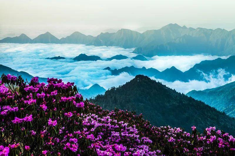 华为mate20外观怎么样-有问必答的蜗牛问答平台